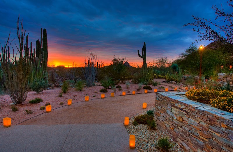 Desert Botanical Garden photo 5