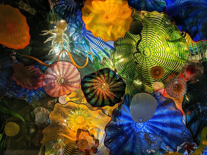 Norton Museum of Art photo 4