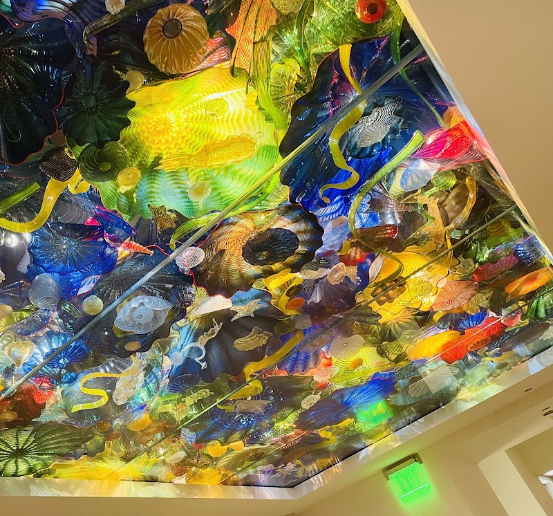 Norton Museum of Art photo 5