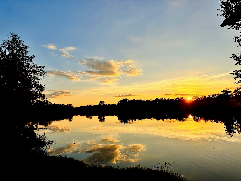 Riverhills Park photo 5