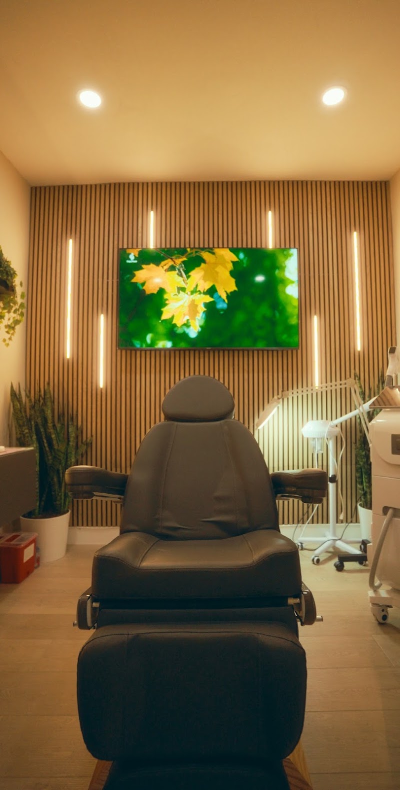 Hairchitect Med Spa & Beauty Lounge San Francisco photo 2