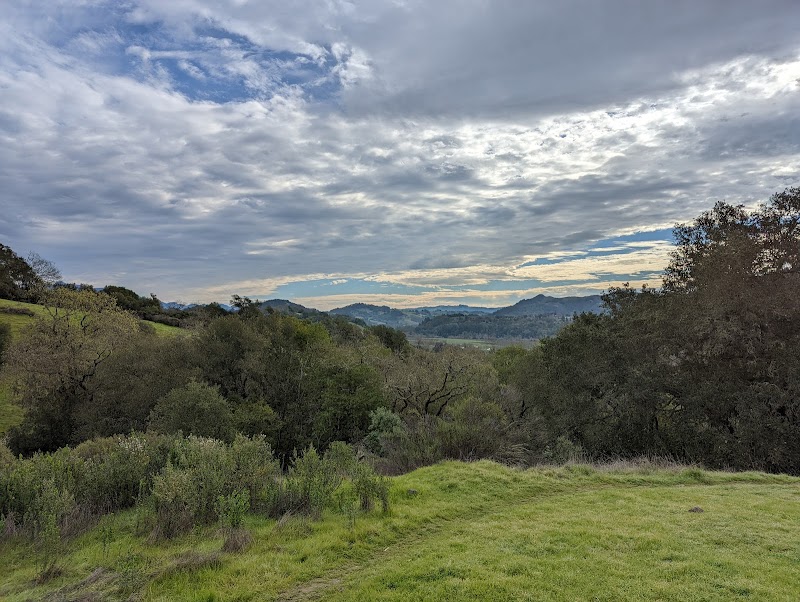 Healdsburg Ridge Open Space Preserve photo 5