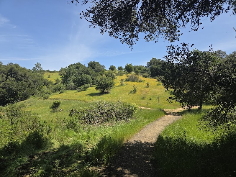 Healdsburg Ridge Open Space Preserve photo 4