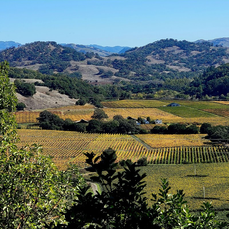 Healdsburg Ridge Open Space Preserve photo 3