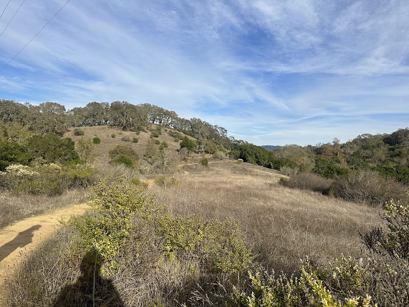 Healdsburg Ridge Open Space Preserve photo 2