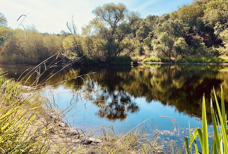 Photo of Healdsburg Ridge Open Space Preserve