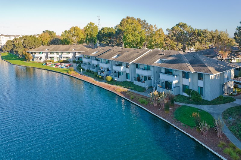 Beach Cove photo 4