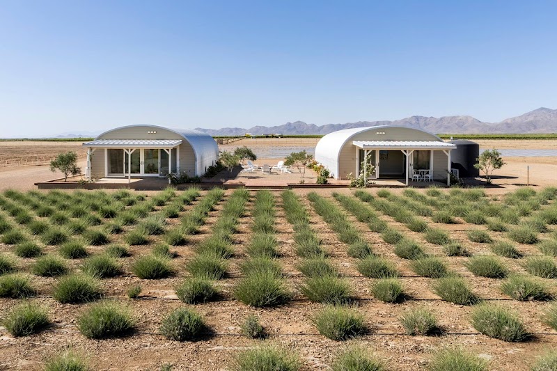 Photo of Rhumb Line Vineyard & Lavender Farm