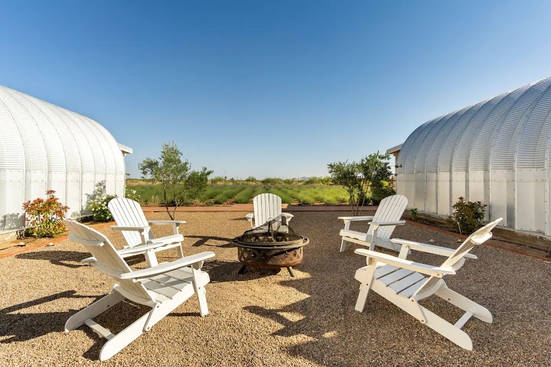 Rhumb Line Vineyard & Lavender Farm photo 3