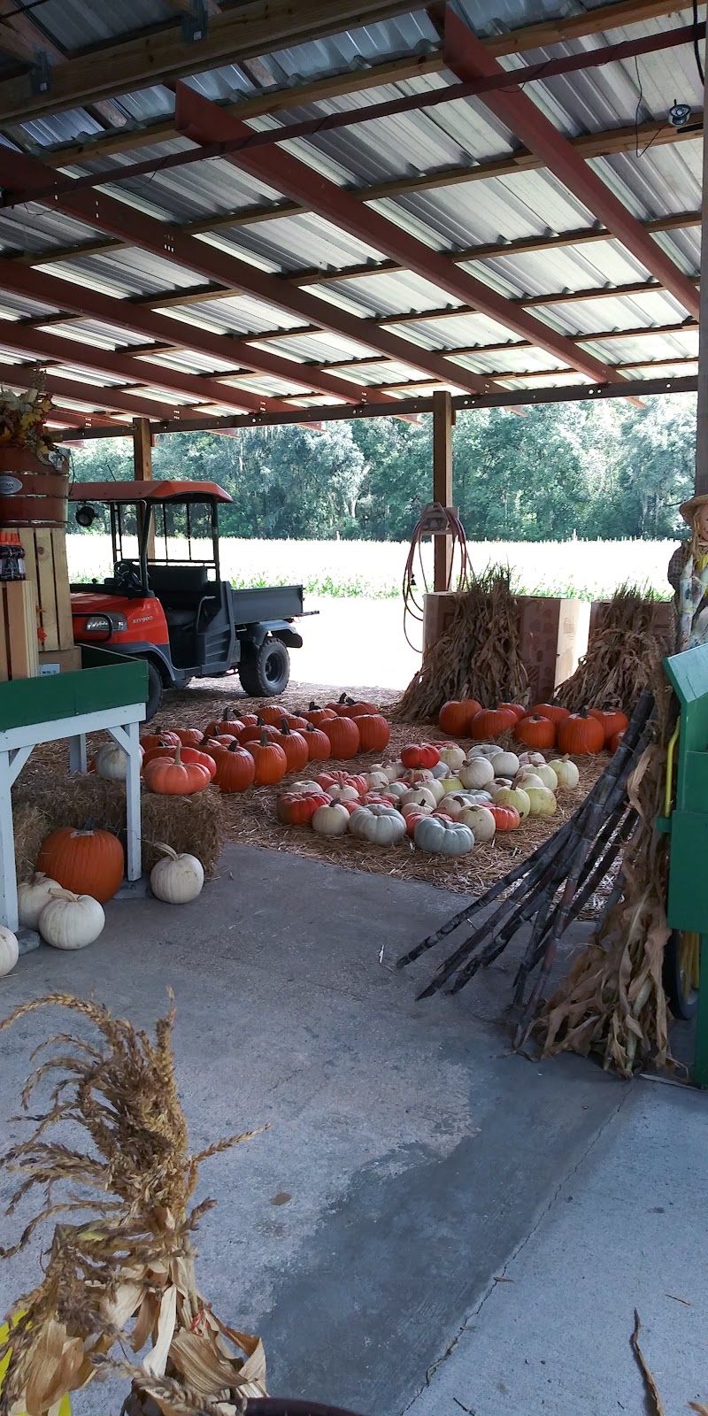 Frazier Farms photo 3