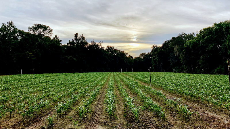 Frazier Farms photo 2