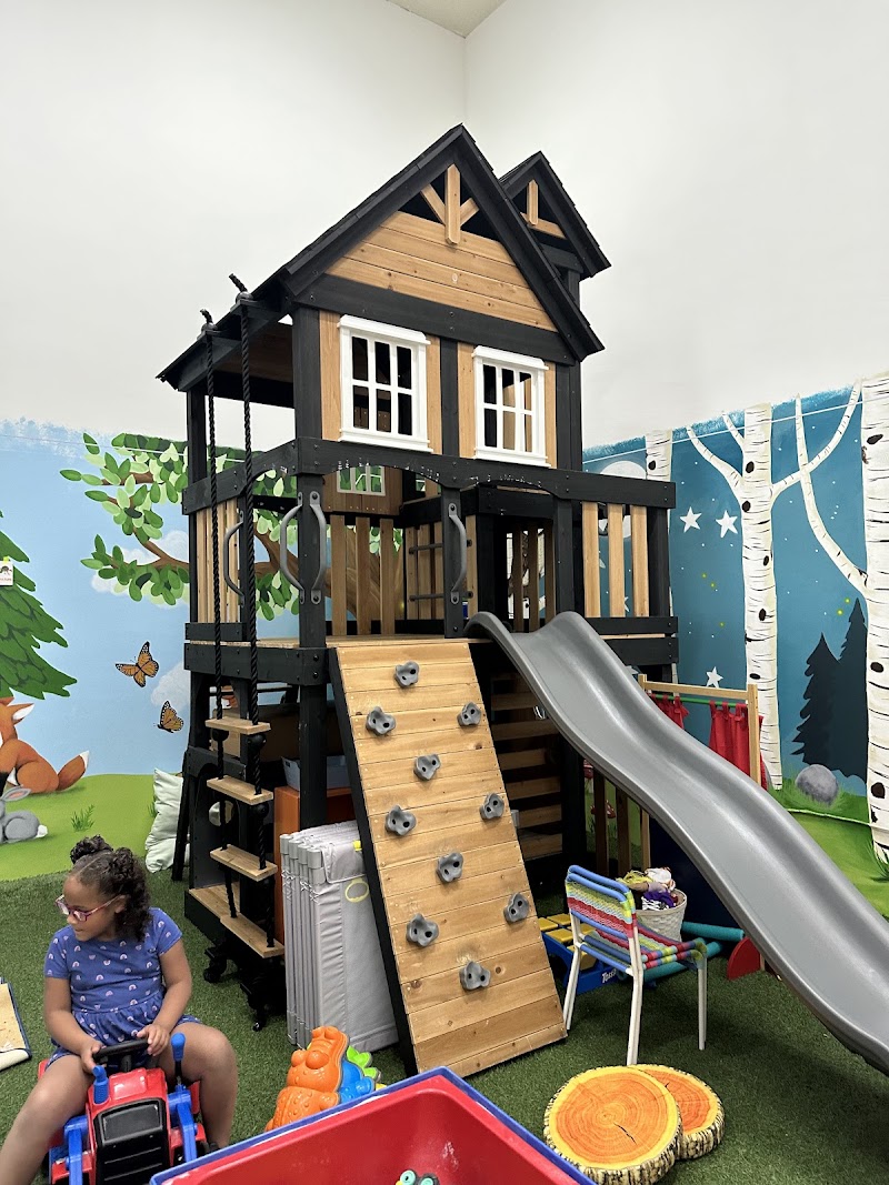 Thunder Bear's Discovery Den photo 4