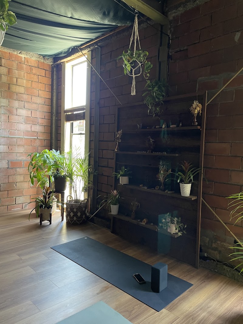 Deep Roots Yoga and Wellness photo 2