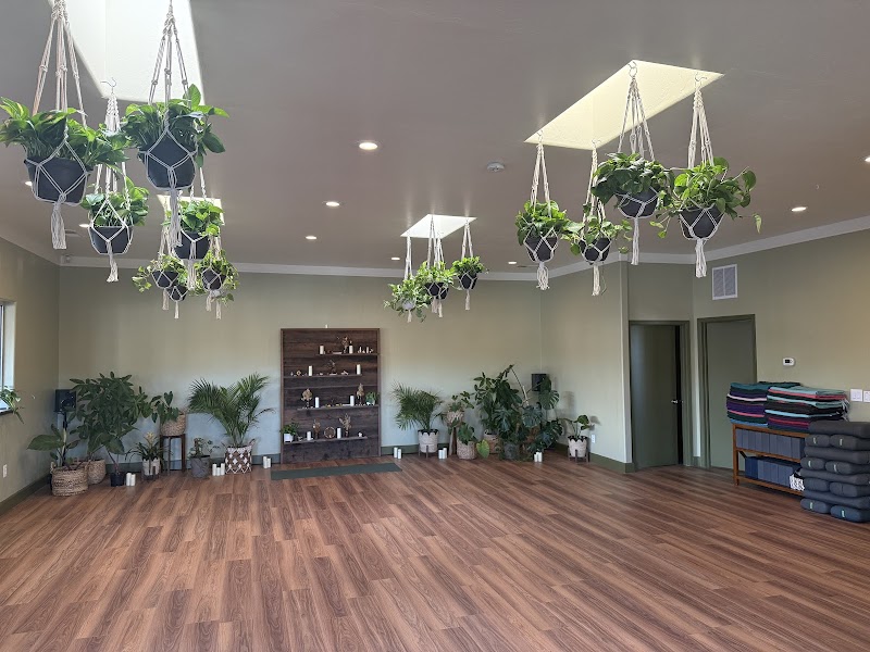 Photo of Deep Roots Yoga and Wellness