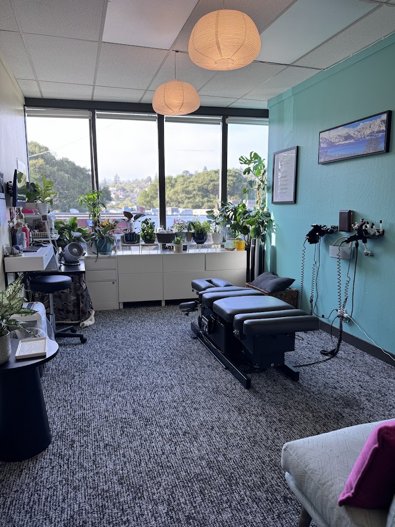Photo of The Spine Studio: Chiropractic and Wellness