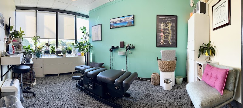 The Spine Studio: Chiropractic and Wellness photo 5