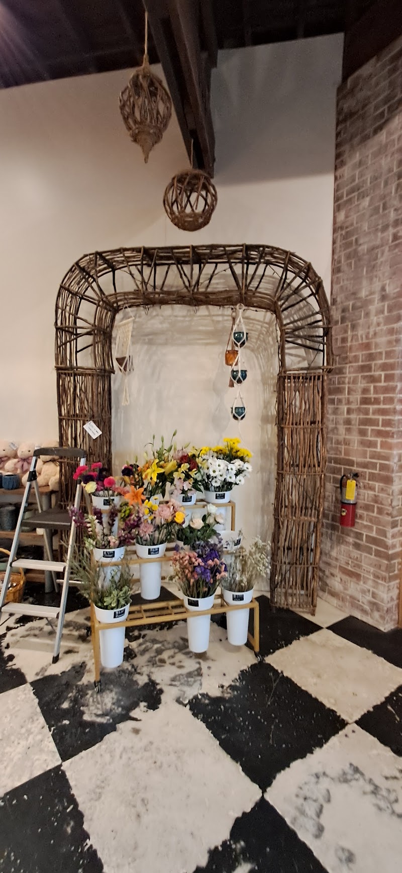 Bonita Flower Shop photo 4
