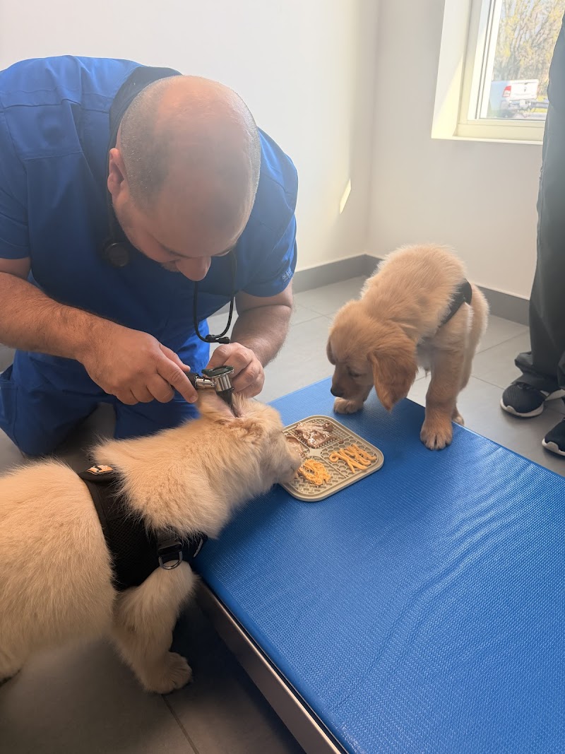 Photo of Partners Animal Hospital Wesley Chapel