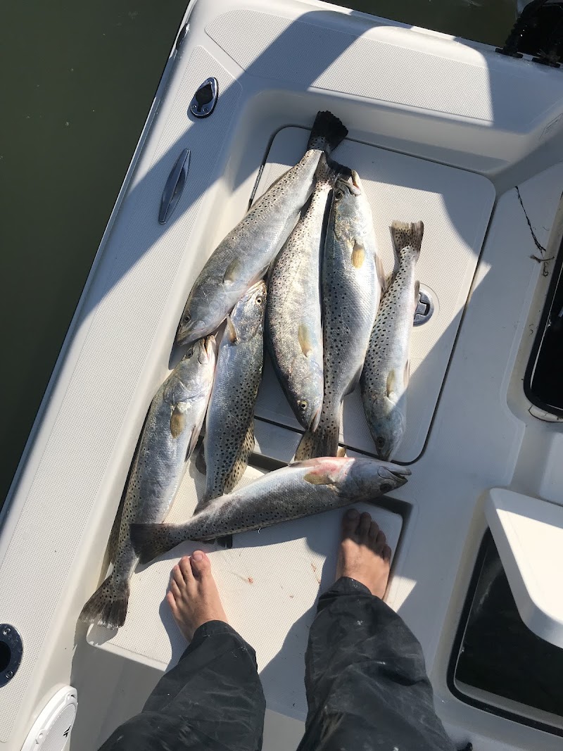 Coastal Chaos Fishing Charters - Clearwater photo 5