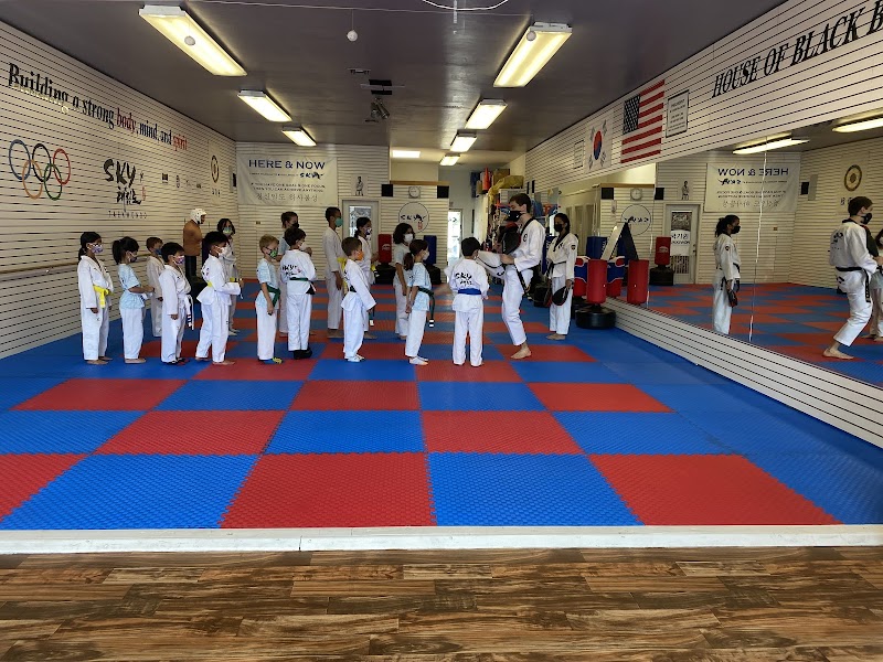 Sky Family Taekwondo photo 5