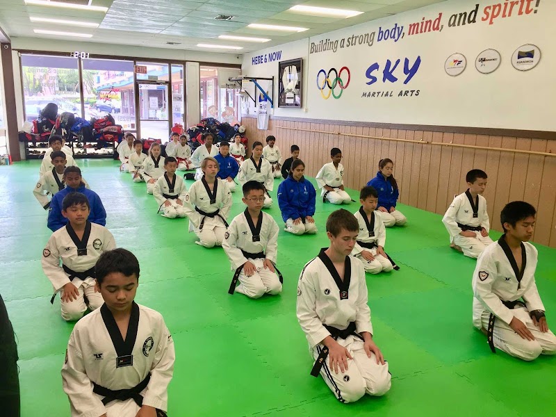 Sky Family Taekwondo photo 2