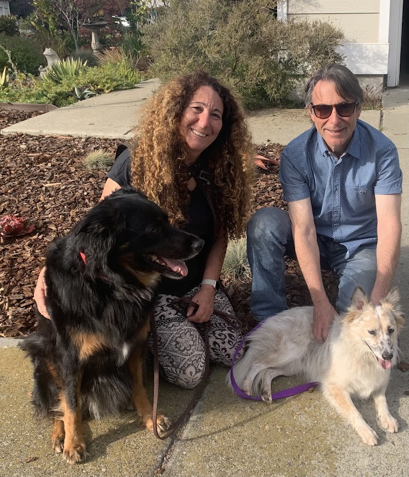 Dog Training With Miri photo 2