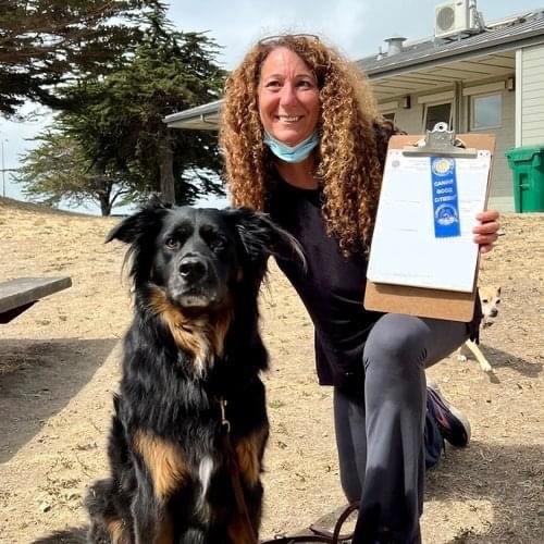 Photo of Dog Training With Miri