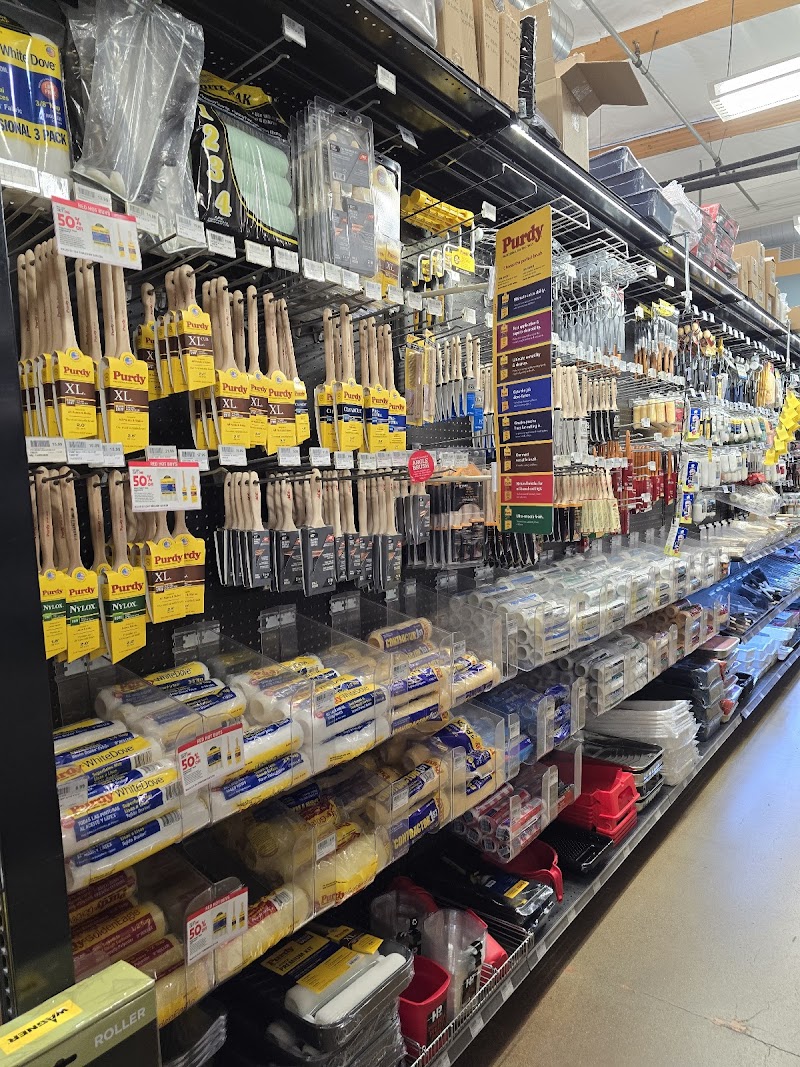 Benjamin Moore Paints at Downtown Walnut Creek Ace Hardware photo 5