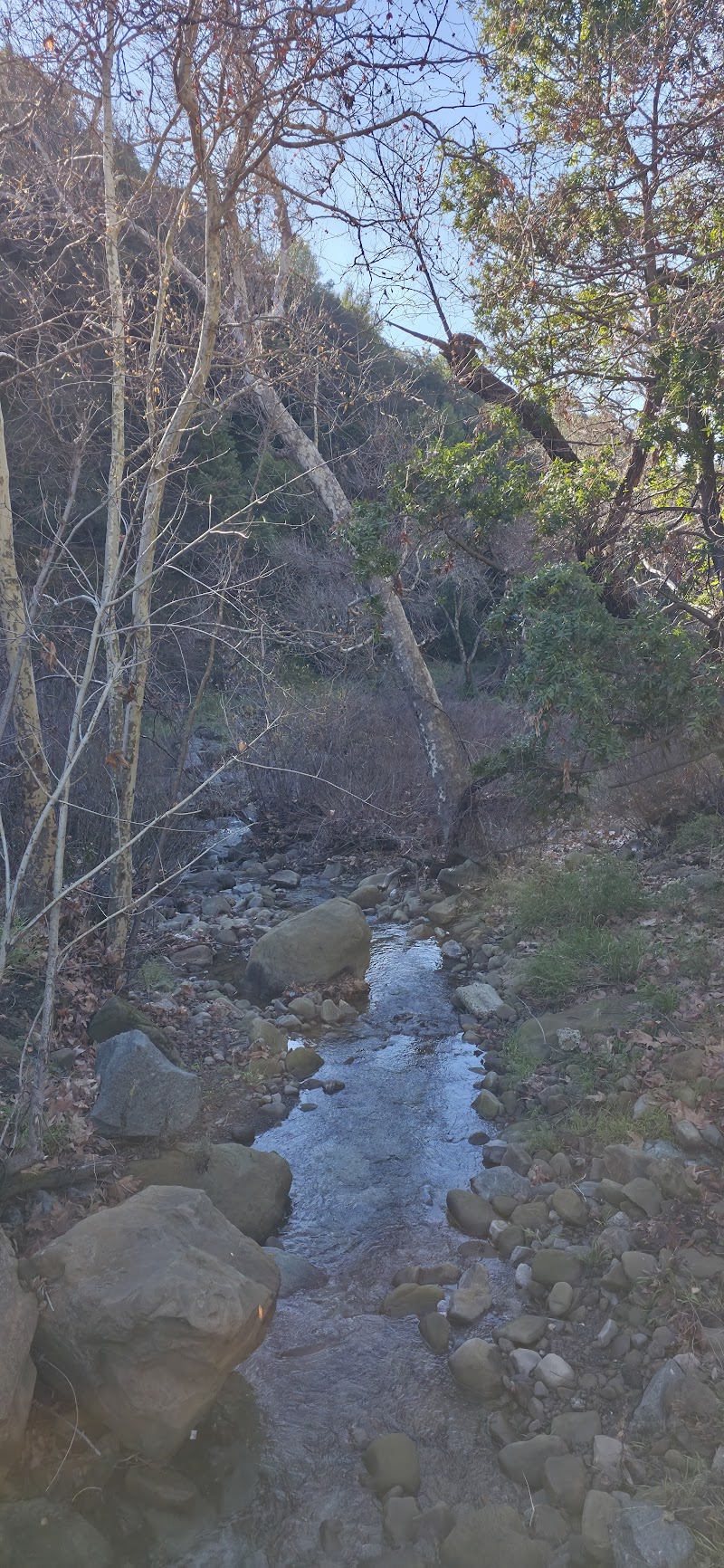 Stonybrook Creek photo 5