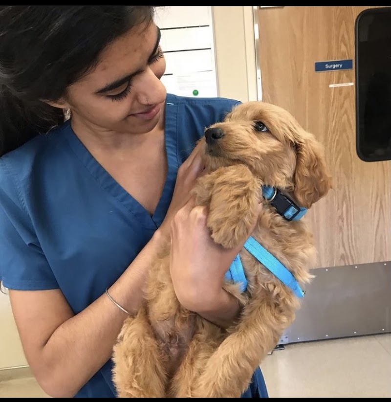 VCA Contra Costa Animal Hospital photo 5