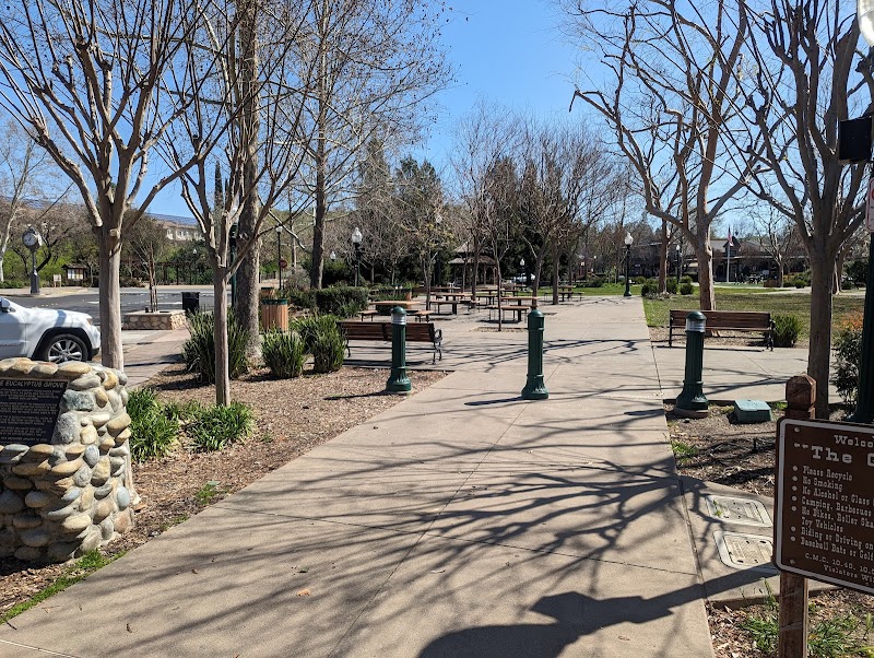 Photo of The Grove