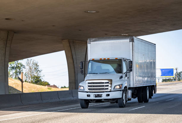 RMV Transportation LLC photo 4