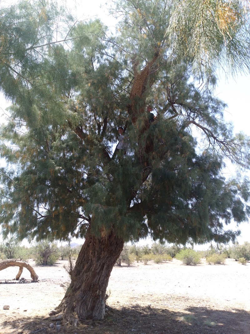 Old Stagecoach stop photo 4