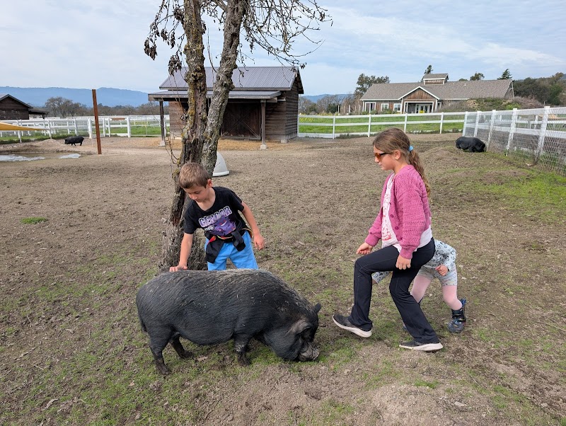 Photo of Charlie's Acres Farm Animal Sanctuary