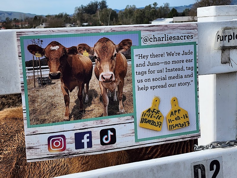 Charlie's Acres Farm Animal Sanctuary photo 3