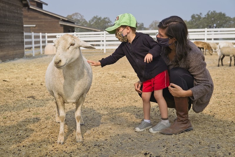 Charlie's Acres Farm Animal Sanctuary photo 2