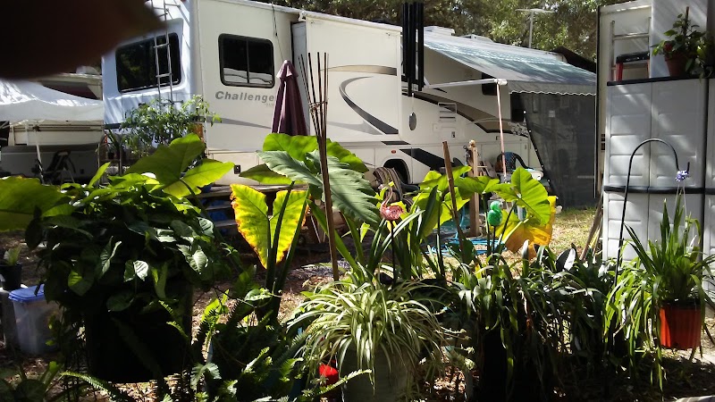 Photo of Anclote Village RV Park