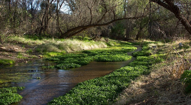 Patagonia-Sonoita Creek Preserve Visitor Center photo 2