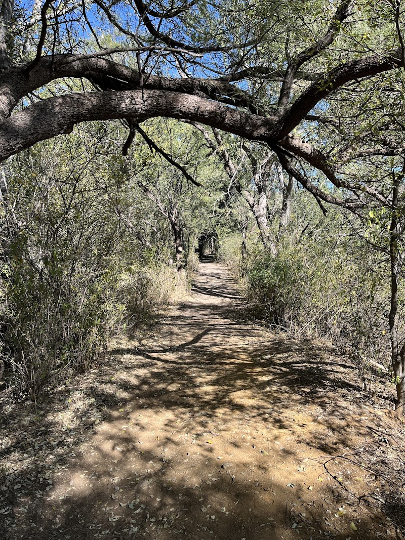 Patagonia-Sonoita Creek Preserve Visitor Center photo 3