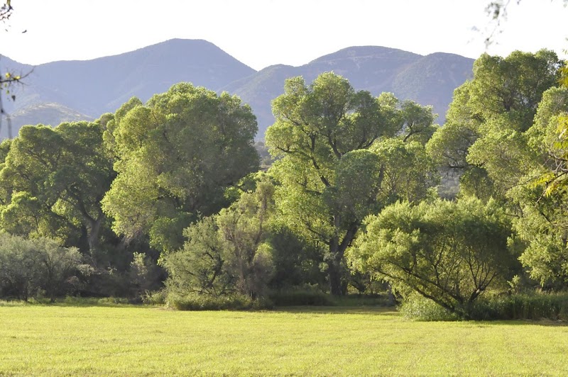 Photo of Patagonia-Sonoita Creek Preserve Visitor Center
