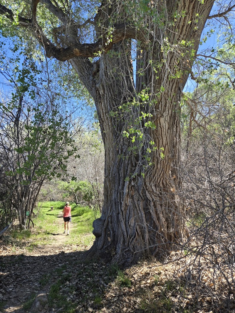 Patagonia-Sonoita Creek Preserve Visitor Center photo 4