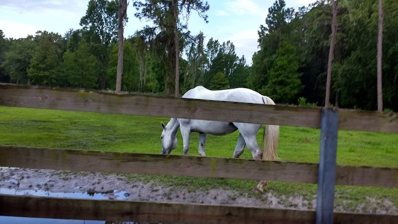 Equestrian Center photo 5