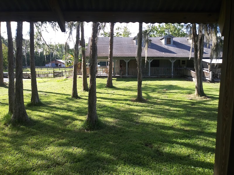 Equestrian Center photo 4