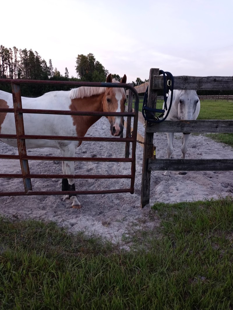 Photo of Equestrian Center
