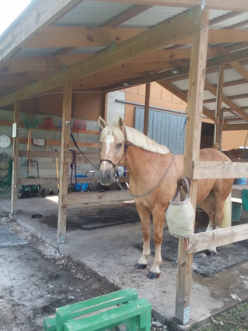 Equestrian Center photo 2