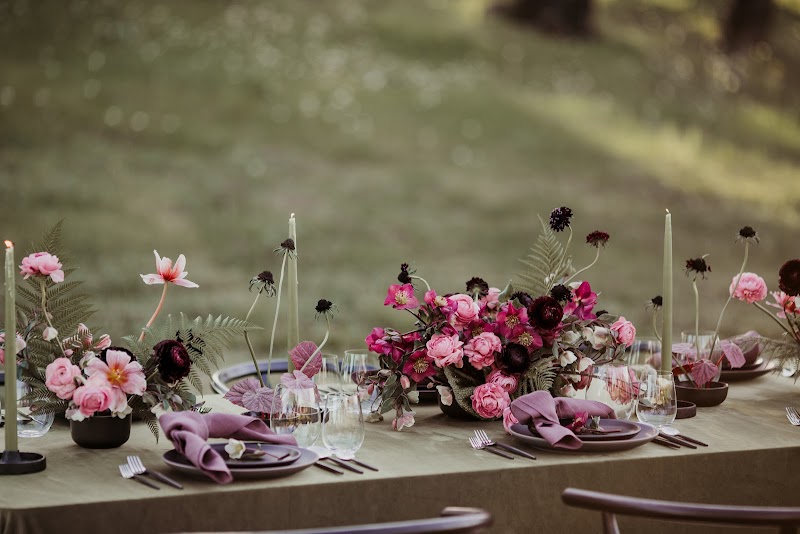 Violets of the Valley photo 3