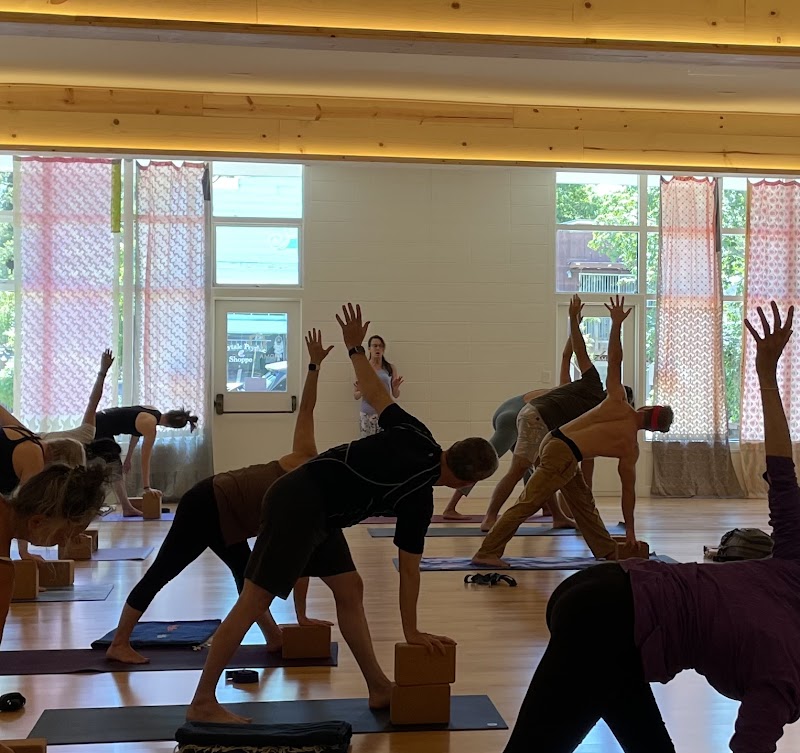 Padma Studio photo 5