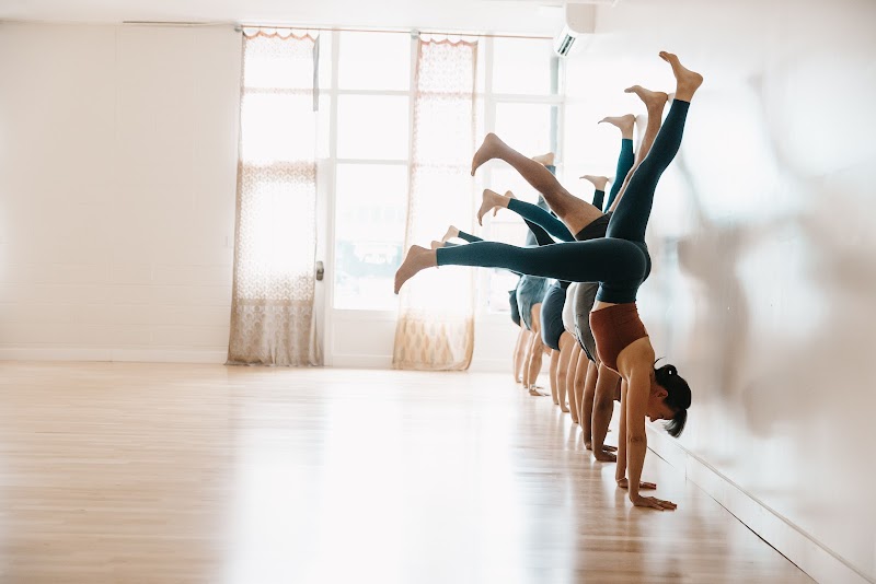 Padma Studio photo 3