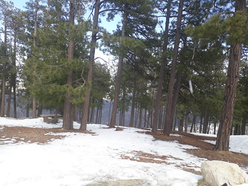 Alder Picnic Area photo 5