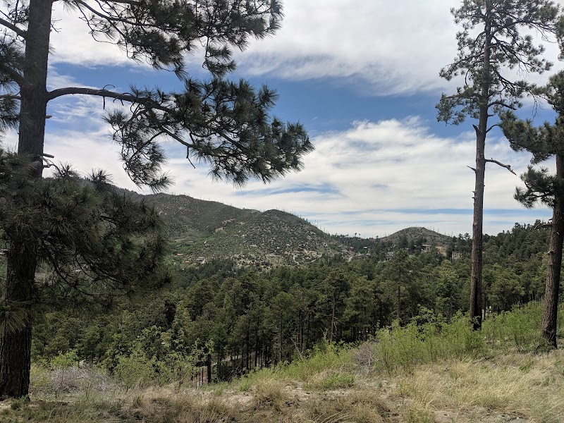 Alder Picnic Area photo 3